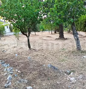Foto annuncio 6