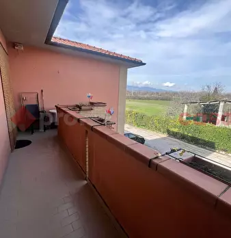 Foto annuncio 6