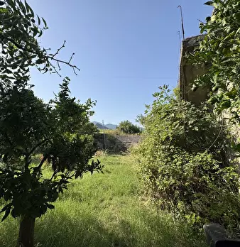 Foto annuncio 19