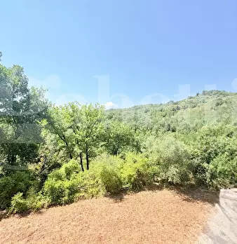 Foto annuncio 26