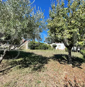 Foto annuncio 30