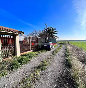 Foto annuncio 9