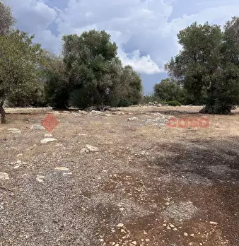 Foto annuncio 19