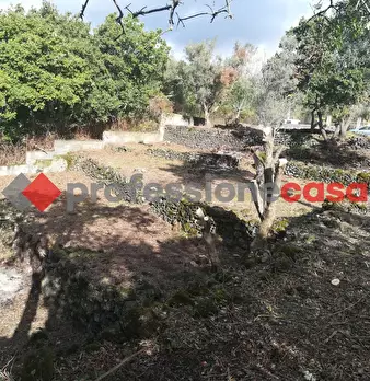 Foto annuncio 13