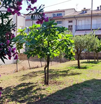 Foto annuncio 5