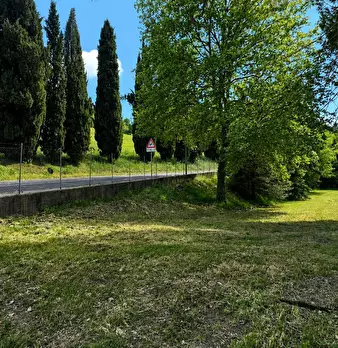Foto annuncio 4