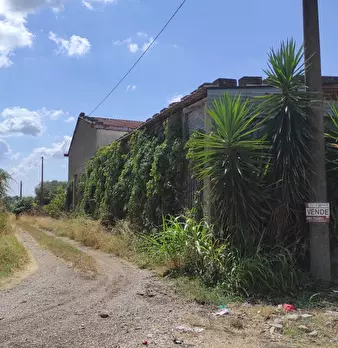 Foto annuncio 2