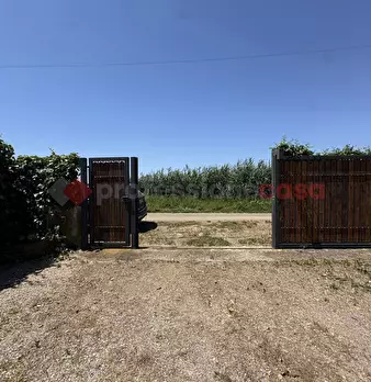 Foto annuncio 28