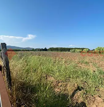 Foto annuncio 31