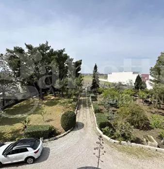 Foto annuncio 26