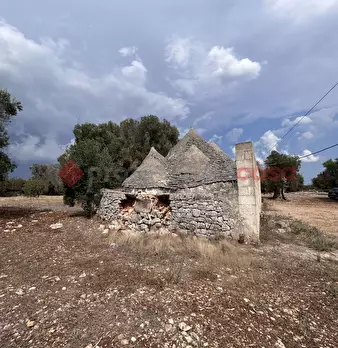 Foto annuncio 5