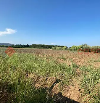 Foto annuncio 30