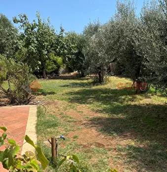 Foto annuncio 38