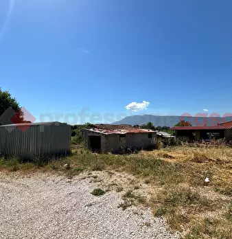 Foto annuncio 10