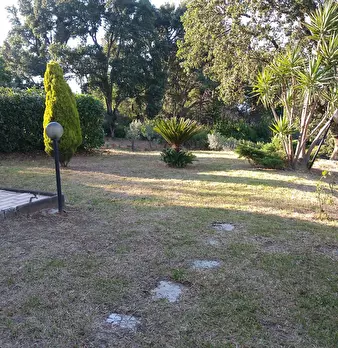 Foto annuncio 42