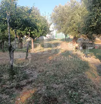 Foto annuncio 13