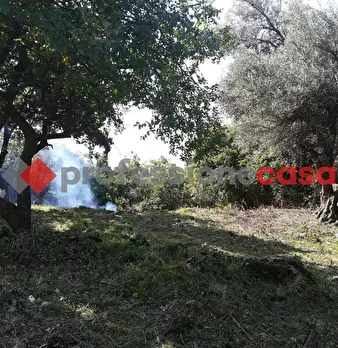 Foto annuncio 12