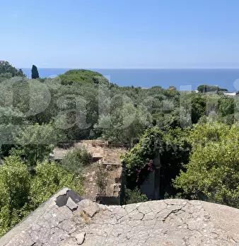 Foto annuncio 13
