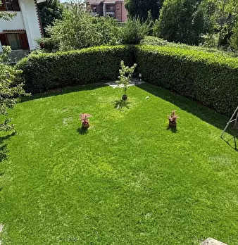 Foto annuncio 17
