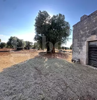 Foto annuncio 4