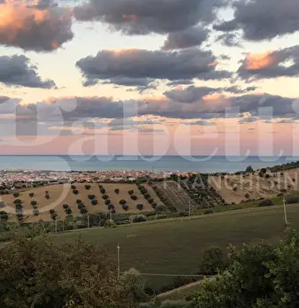Foto annuncio 37