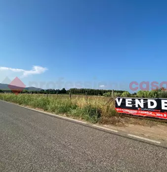 Foto annuncio 7