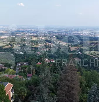 Foto annuncio 42