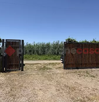 Foto annuncio 38