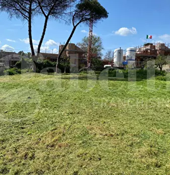 Foto annuncio 32