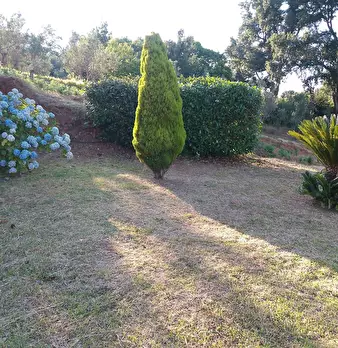 Foto annuncio 39