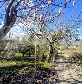 Foto annuncio 18