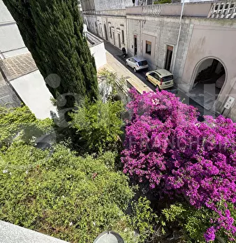 Foto annuncio 50