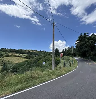 Foto annuncio 20