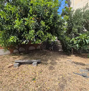 Foto annuncio 6
