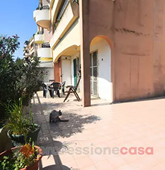 Foto annuncio 9