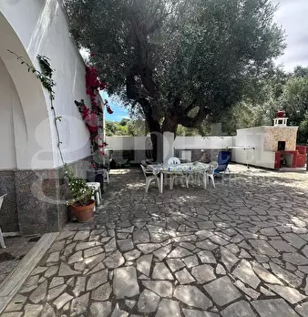 Foto annuncio 8