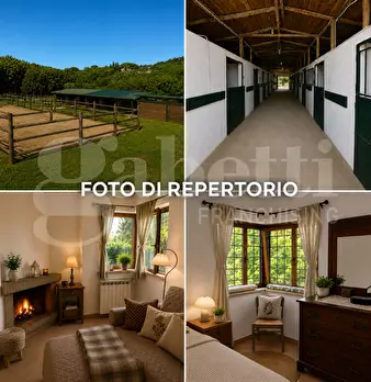 Foto annuncio 1