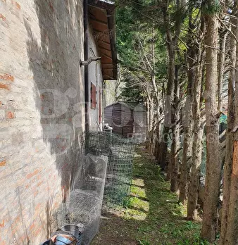 Foto annuncio 6