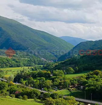 Foto annuncio 9