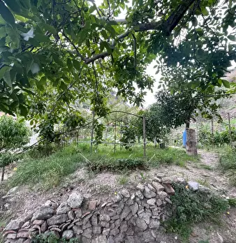 Foto annuncio 33