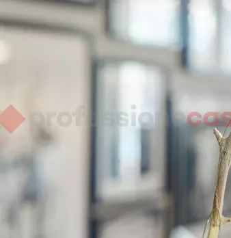 Foto annuncio 28