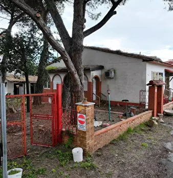 Foto annuncio 6