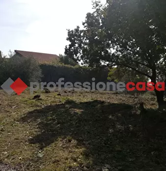 Foto annuncio 10
