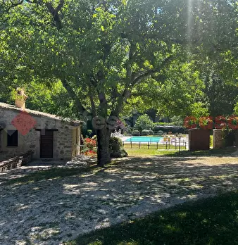 Foto annuncio 29