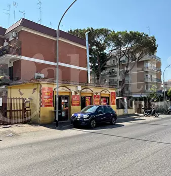 Foto annuncio 7