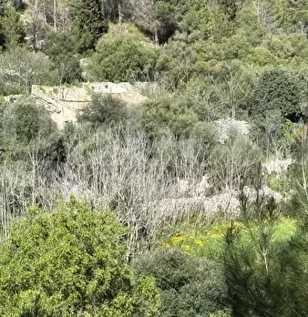 Foto annuncio 8