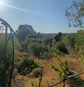 Foto annuncio 10