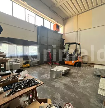Foto annuncio 5