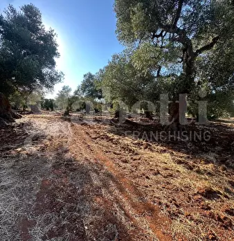 Foto annuncio 9