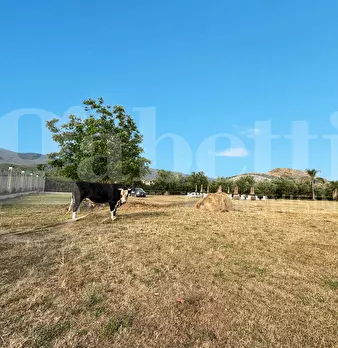 Foto annuncio 14